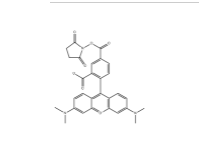 CAS号:150810-68-7;5-TAMRA, SE;5-羧基四甲基罗丹明琥珀酰亚胺酯 CAS号:150810-68-7;5-TAMRA, SE;5-羧基四甲基罗丹明琥珀酰亚胺酯
