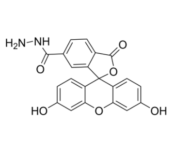 FAM hydrazide, 6-isomer FAM hydrazide, 6-isomer