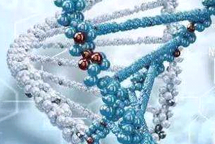 ​抗体药物偶联物（ADC）介绍-西安齐岳生物