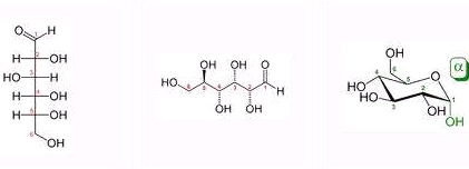 聚丙烯/多壁碳纳米管(PP/MWNTs)复合材料