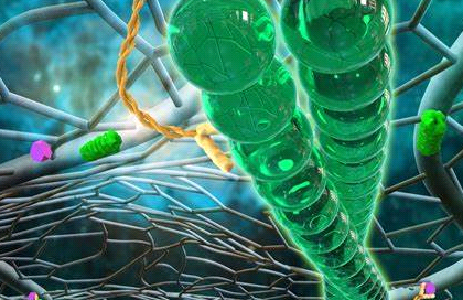 超顺磁Fe3O4 Nanorods 四氧化三铁纳米棒（100nm）