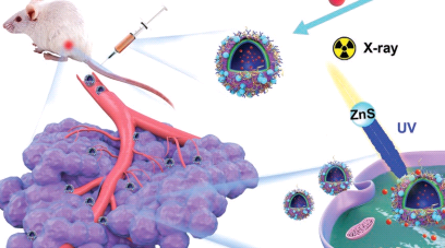 红细胞膜四氧化三铁磁性纳米颗粒 Redbloodcellmembraneferromagneticnanoparticles