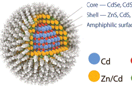 PEG化脂质体（PEGylated liposomes）定制合成