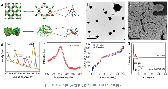 1621235511752917.png image.png