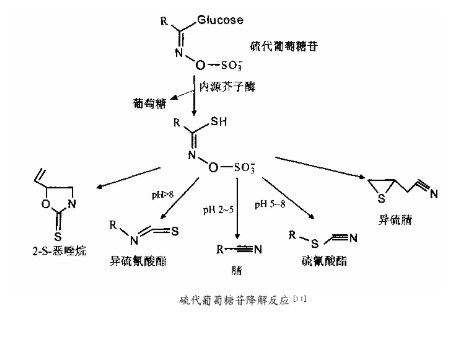 1625558854463282.png 1.png