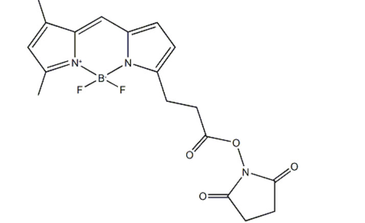 BDP FL NHS ester，cas146616-66-2.png