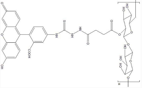FITC-Dextran|葡聚糖(葡聚糖分子量可选).png