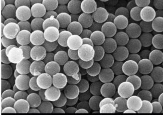 PEG-Pollen silica nanospheres PEG-Pollen silica nanospheres