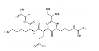Cys-Arg-Glu-Lys-Ala Cys-Arg-Glu-Lys-Ala