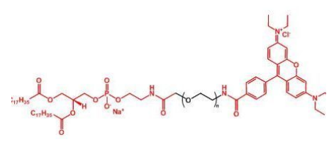 DSPE-PEG-NGR(GGCNGRC) DSPE-PEG-NGR(GGCNGRC)