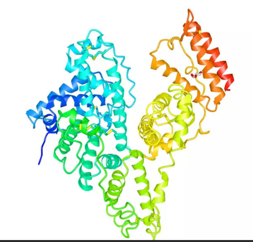 半乳糖介导姜黄素牛血清白蛋白纳米粒 半乳糖介导姜黄素牛血清白蛋白纳米粒