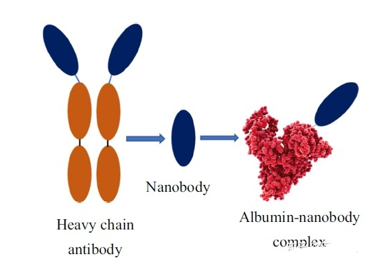 1661313165725202.png 图片2.png