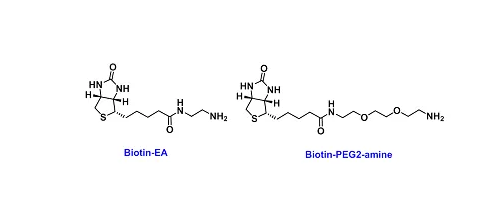 1661765230240828.png 1.png