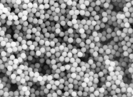 羧基-聚苯乙烯微球 羧基-聚苯乙烯微球