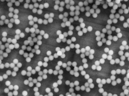 1663315326165371.png image.png