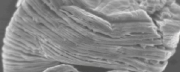 碳氮化钛 Ti3CNTx 碳氮化钛 Ti3CNTx