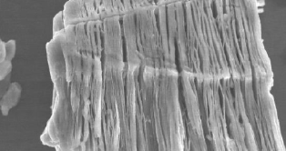 碳化钒 V4C3Tx 碳化钒 V4C3Tx