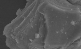 Mxene多层碳化铌 Nb4C3Tx Mxene多层碳化铌 Nb4C3Tx