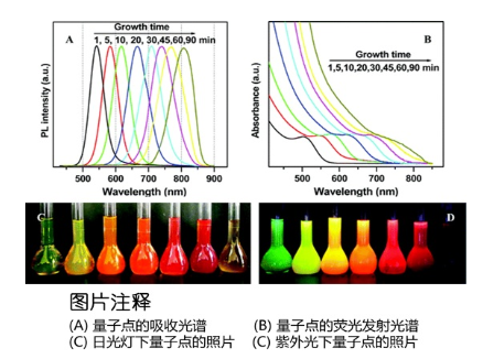 水溶性CdTe/CdS量子点 水溶性CdTe/CdS量子点