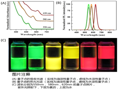 水溶性CdSe/ZnS量子点 水溶性CdSe/ZnS量子点