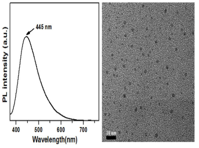 水溶性碳量子点 PL 水溶性碳量子点 PL