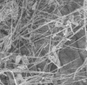 Boron nitride nanowire Boron nitride nanowire
