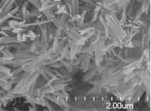 氢氧化铜纳米线 氢氧化铜纳米线