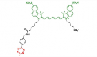 Methyltrazine-Disulfo-ICG Methyltrazine-Disulfo-ICG