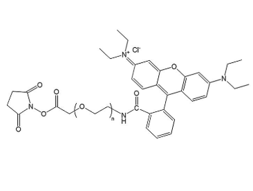 1664442606161472.png 1.png