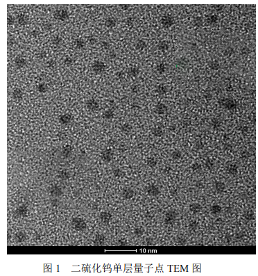 WS2单层量子点溶液