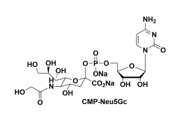 CMP-N-glycolylneuraminic acid，腺苷-5'-单磷酸-N-羟乙酰神经氨酸二钠盐