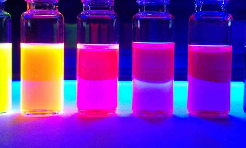FITC/CY3/CY5/CY7血管活性肠肽(vasoactive intestinal peptide，VIP)