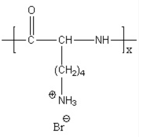 PLE-PEG-PLE PLE-PEG-PLE