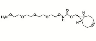 exo BCN-PEG4-O-NH2 exo BCN-PEG4-O-NH2