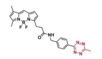 BDP FL methyltetrazine BDP FL methyltetrazine
