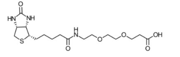 1675047493359081.png 1.png