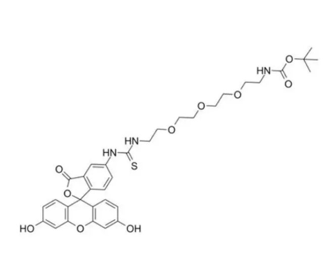 1675130678420716.png 1.png