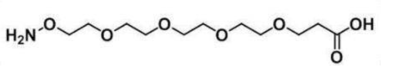 1675130841560929.png 1.png