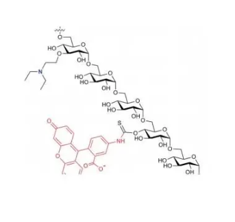 罗丹明标记葡聚糖 罗丹明标记葡聚糖
