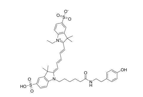 1675663744636477.png 1.png