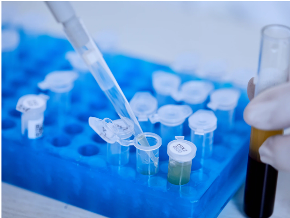 喜树碱-聚乙二醇-SP94肽 喜树碱-聚乙二醇-SP94肽