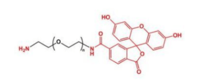 FITC-NH2 FITC-NH2