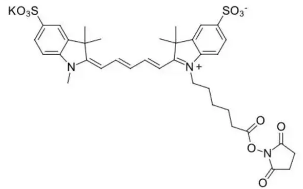 1675911679834113.png 1.png