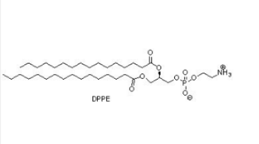 Ciprofloxacin-PEG-DPPE Ciprofloxacin-PEG-DPPE