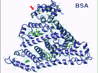 环丙沙星-聚乙二醇-牛血清白蛋白 环丙沙星-聚乙二醇-牛血清白蛋白