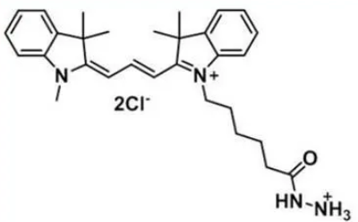 1676267181829922.png 1.png