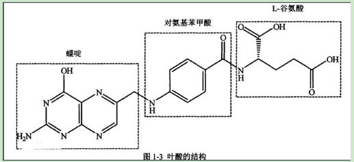 甲硝唑-聚乙二醇-叶酸 甲硝唑-聚乙二醇-叶酸