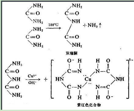 甲硝唑-聚乙二醇-卵清蛋白 甲硝唑-聚乙二醇-卵清蛋白