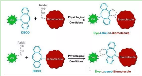 雷替曲塞-聚乙二醇-二苯基环辛炔