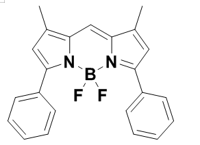 Bodipy-550/580,BDP染料550/580 齐岳氟硼二吡咯(BODIPY)类荧光染料定制 Bodipy-550/580,BDP染料550/580 齐岳氟硼二吡咯(BODIPY)类荧光染料定制
